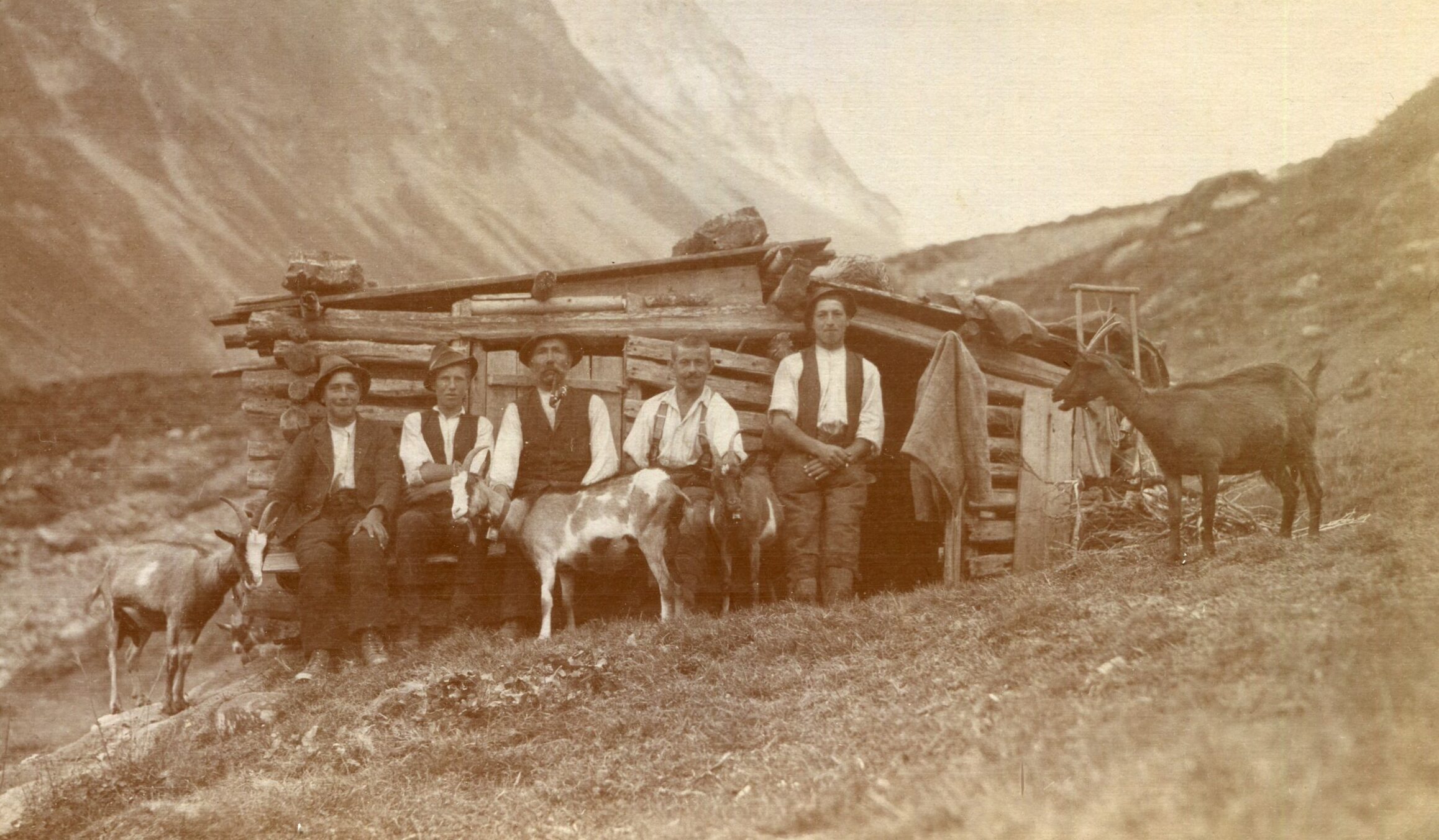 Wenn die Männer im Sommer ins Bergmahd (hier: Polltal/Längenfeld) gingen, hatten sie Ziegen zur Selbstversorgung dabei. Die Ziegenmilch wurde getrunken oder zum Mues verkocht. 